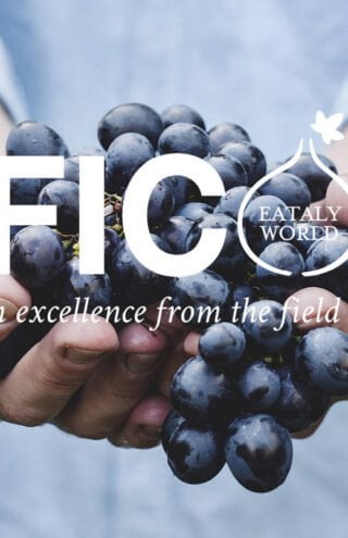 Eataly World | το μεγαλύτερο πάρκο θεμάτων τροφίμων του κόσμου