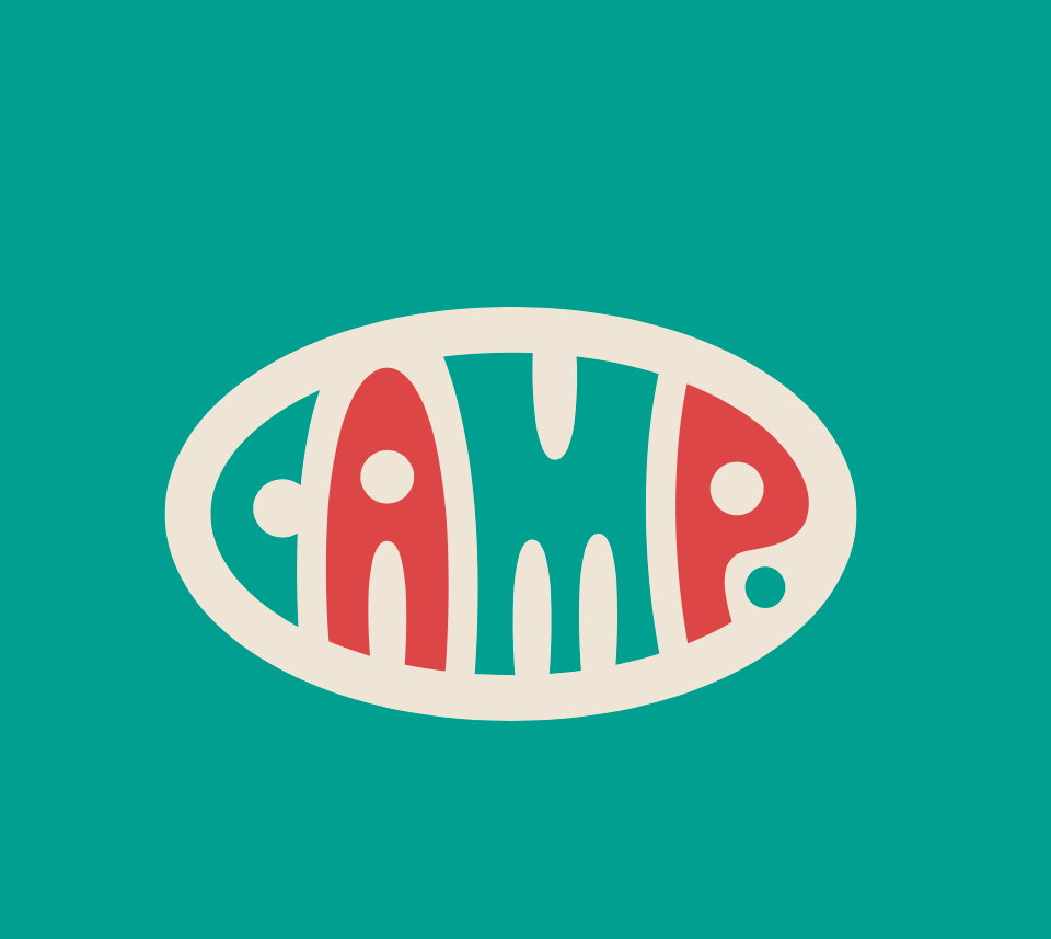 Camp | Το μέλλον της λιανικής πώλησης βρίσκεται σε αυτό το κατάστημα 