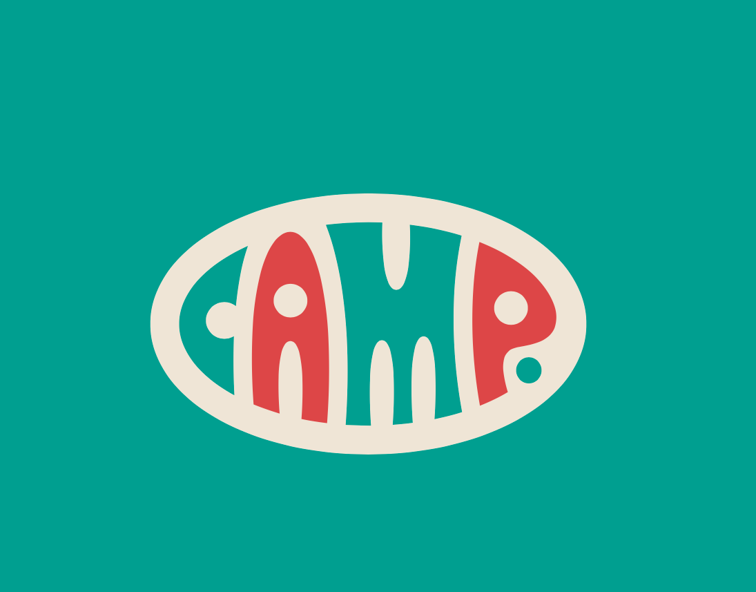 Το Camp | βιωματικός παιδότοπος και retail concept