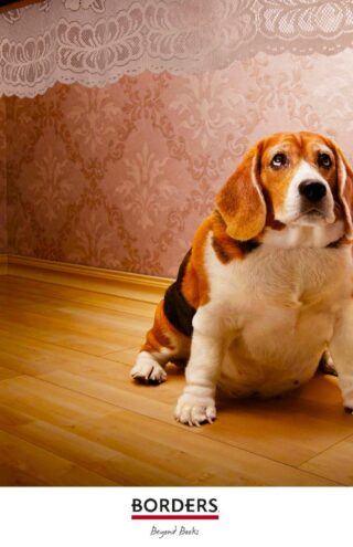 Η Petco ανοίγει εστιατόρια κατοικίδιων στη Νέα Υόρκη, βασιζόμενα στην εμπειρία των αφεντικών τους
