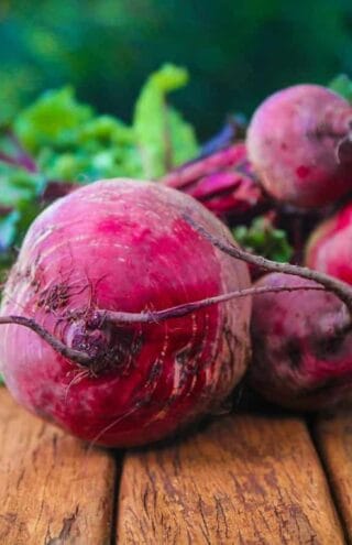 Τα Vegan εστιατόρια είναι σε μεγάλη άνοδο