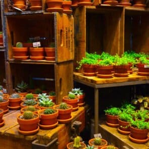 Το ολοκαίνουργιο pop up store του Muji είναι το μισό κατάστημα και μισό γκαλερί