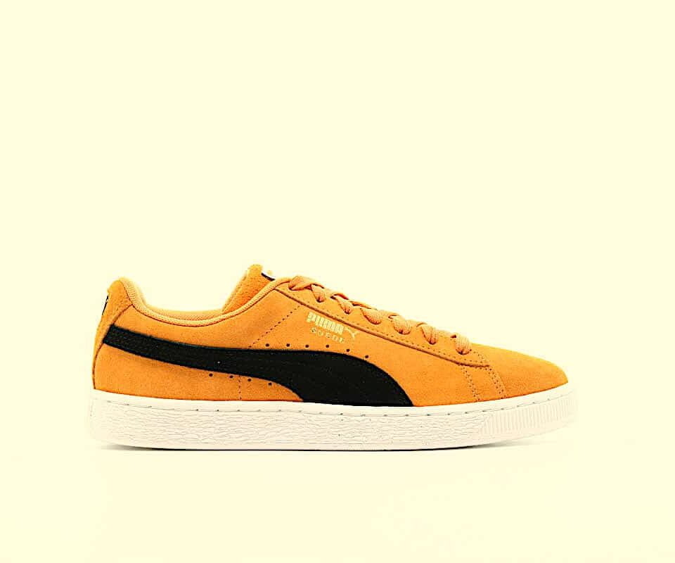 To διαφορετικό success story της Puma