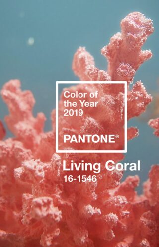 Τα χρώματα της Pantone για το 2023
