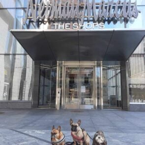 Η Neiman Marcus εκτιμά πως θα βγει από το καθεστώς πτώχευσης μέχρι τα τέλη Σεπτεμβρίου