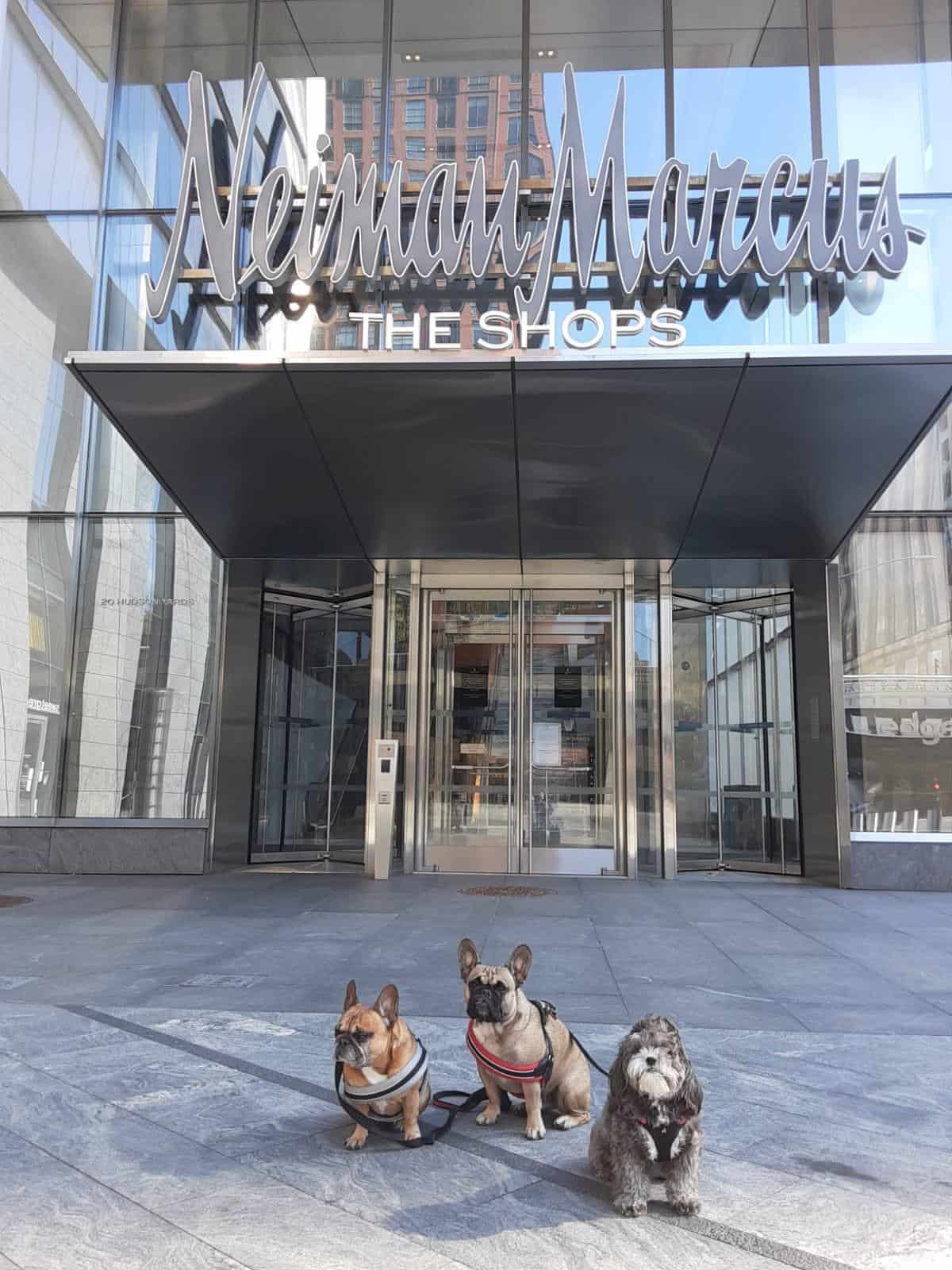 Η Neiman Marcus εκτιμά πως θα βγει από το καθεστώς πτώχευσης μέχρι τα τέλη Σεπτεμβρίου