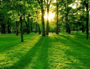 Earth Day 2023 | Ποιες είναι οι κορυφαίες τάσεις για τη βιωσιμότητα και το κλίμα;