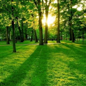 Earth Day 2023 | Ποιες είναι οι κορυφαίες τάσεις για τη βιωσιμότητα και το κλίμα;