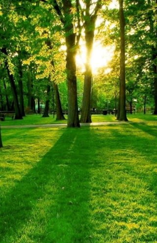Earth Day 2023 | Ποιες είναι οι κορυφαίες τάσεις για τη βιωσιμότητα και το κλίμα;