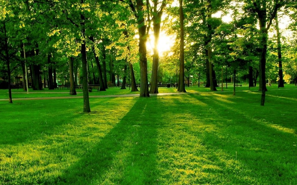 Earth Day 2023 | Ποιες είναι οι κορυφαίες τάσεις για τη βιωσιμότητα και το κλίμα;