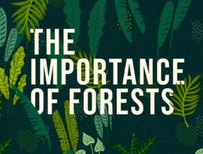 Οι μάρκες συνεργάζονται για να μειώσουν τις συσκευασίες από την αύξηση του ηλεκτρονικού εμπορίου