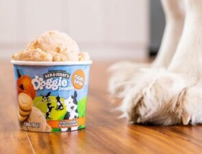 Τα Ben &#038; Jerry’s κυκλοφόρησαν «παγωτά» για σκύλους