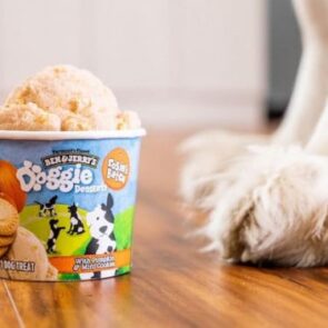 Τα Ben &#038; Jerry’s κυκλοφόρησαν «παγωτά» για σκύλους