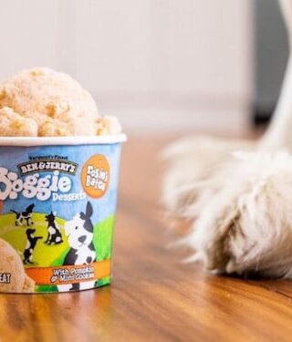 Τα Ben &#038; Jerry’s κυκλοφόρησαν «παγωτά» για σκύλους