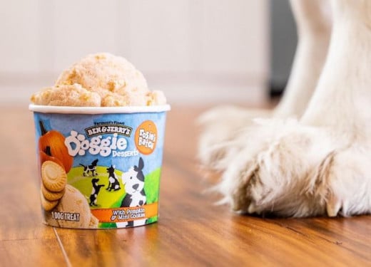Τα Ben &#038; Jerry’s κυκλοφόρησαν «παγωτά» για σκύλους