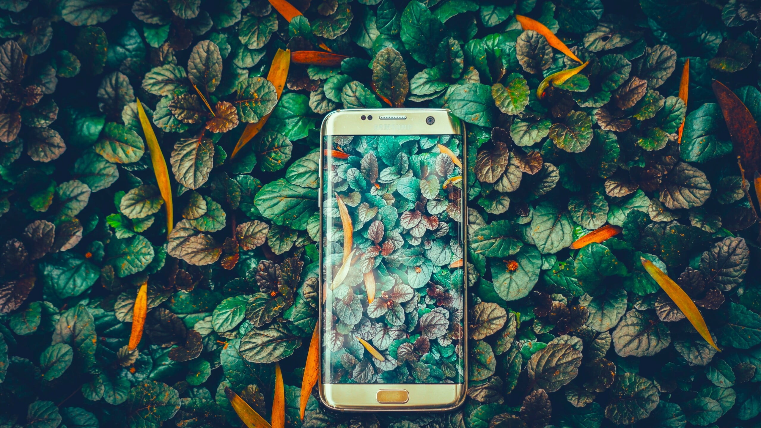 Η Samsung μετατρέπει τα παλιά κινητά σε έξυπνες οικιακές συσκευές
