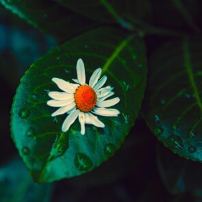 Γιατί οι επιχειρήσεις πρέπει να δουν το sustainability αλλιώς