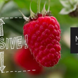 Η M&#038;S με μεγάλη καμπάνια για την ποιότητα των τροφίμων της