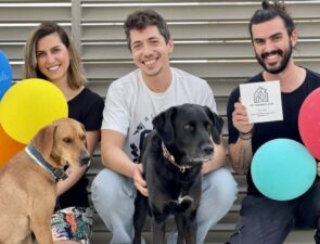 Bubble Van: Tο βανάκι που περιποιείται τα σκυλάκια της Αθήνας