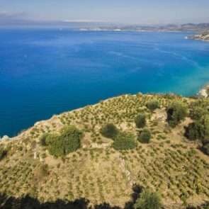 Kefalonia Wines |  Ώρα να μάθουμε για τα ωραία, κεφαλονίτικα κρασιά