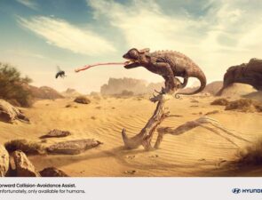 Campaign of the Day