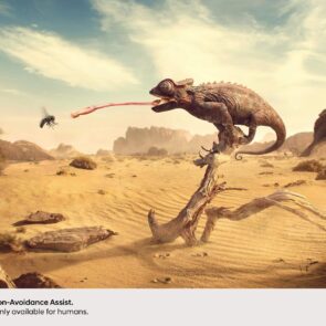 Campaign of the Day