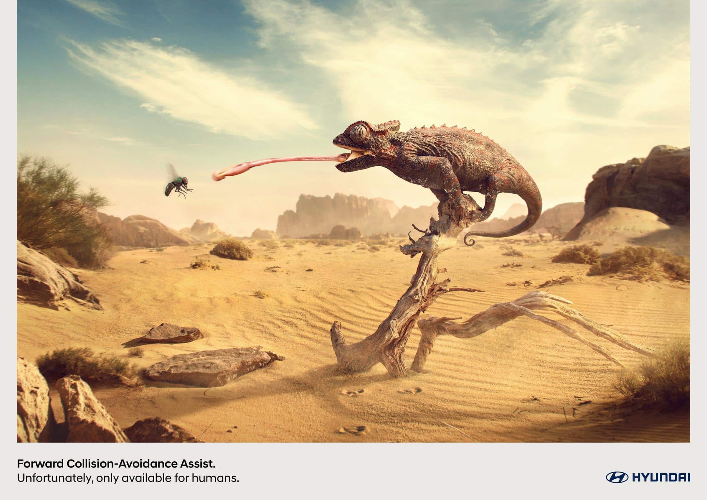 Campaign of the Day