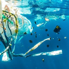 Oι επιστήμονες προειδοποιούν για μικροπλαστικά που βρέθηκαν στο ανθρώπινο αίμα