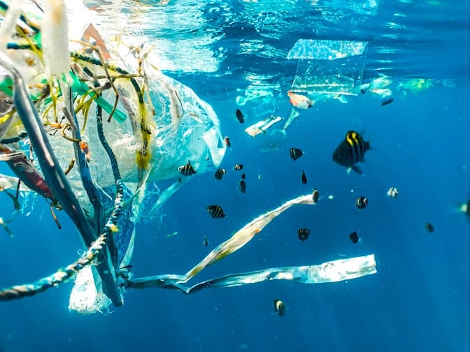 Oι επιστήμονες προειδοποιούν για μικροπλαστικά που βρέθηκαν στο ανθρώπινο αίμα