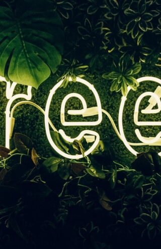 Tάση | Το plant-based κατακτά τη μόδα