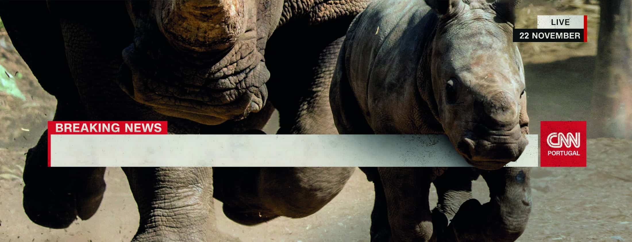Campaign of the Day