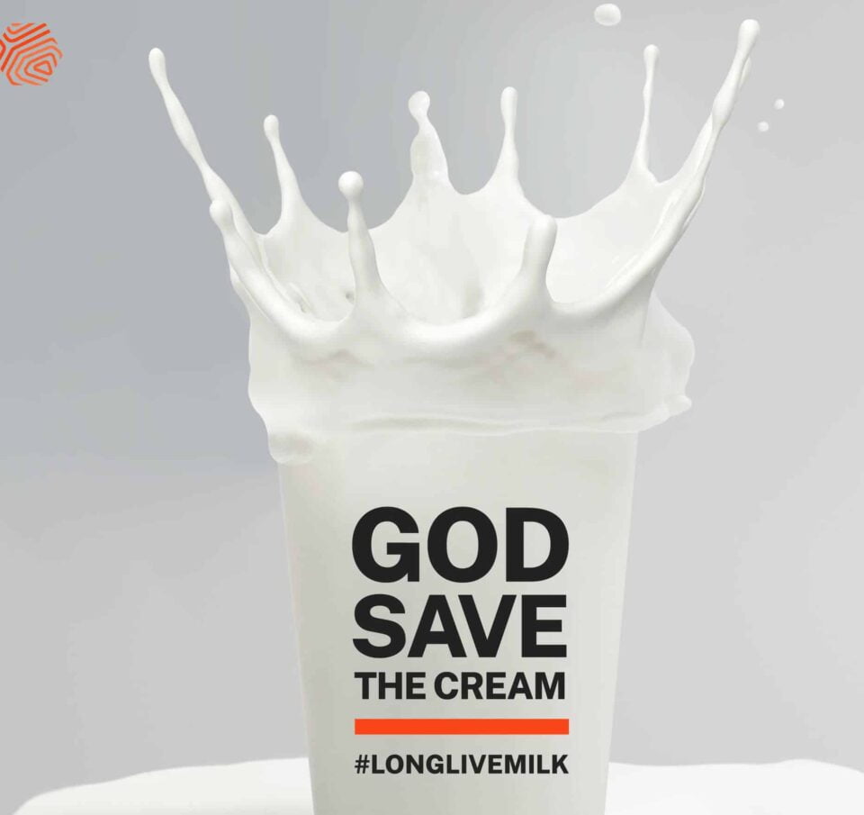 Campaign of the Day