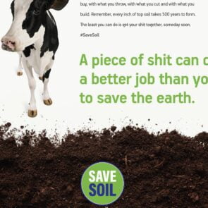 Campaign of the Day