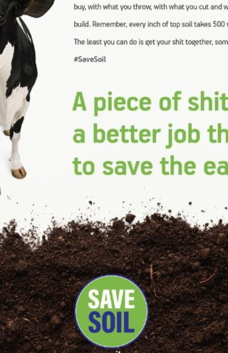 Campaign of the Day