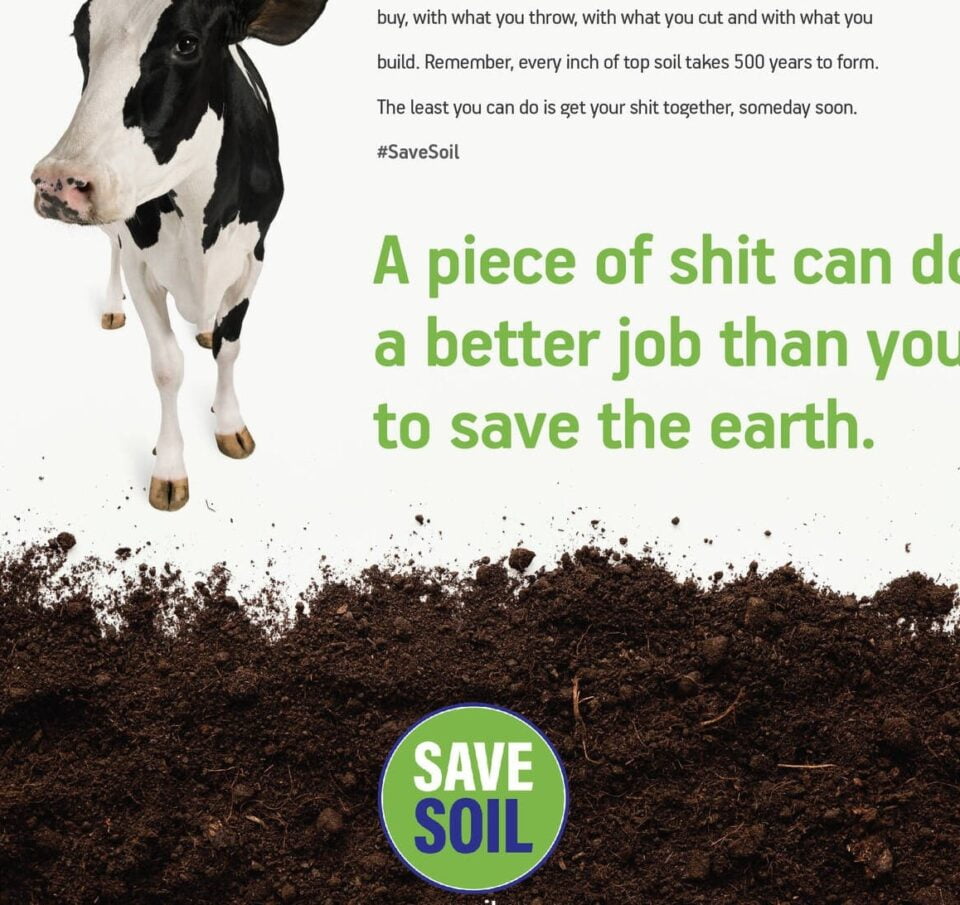 Campaign of the Day