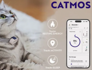 Trending Now: Catmos