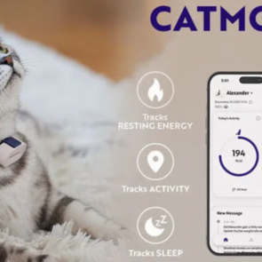 Trending Now: Catmos