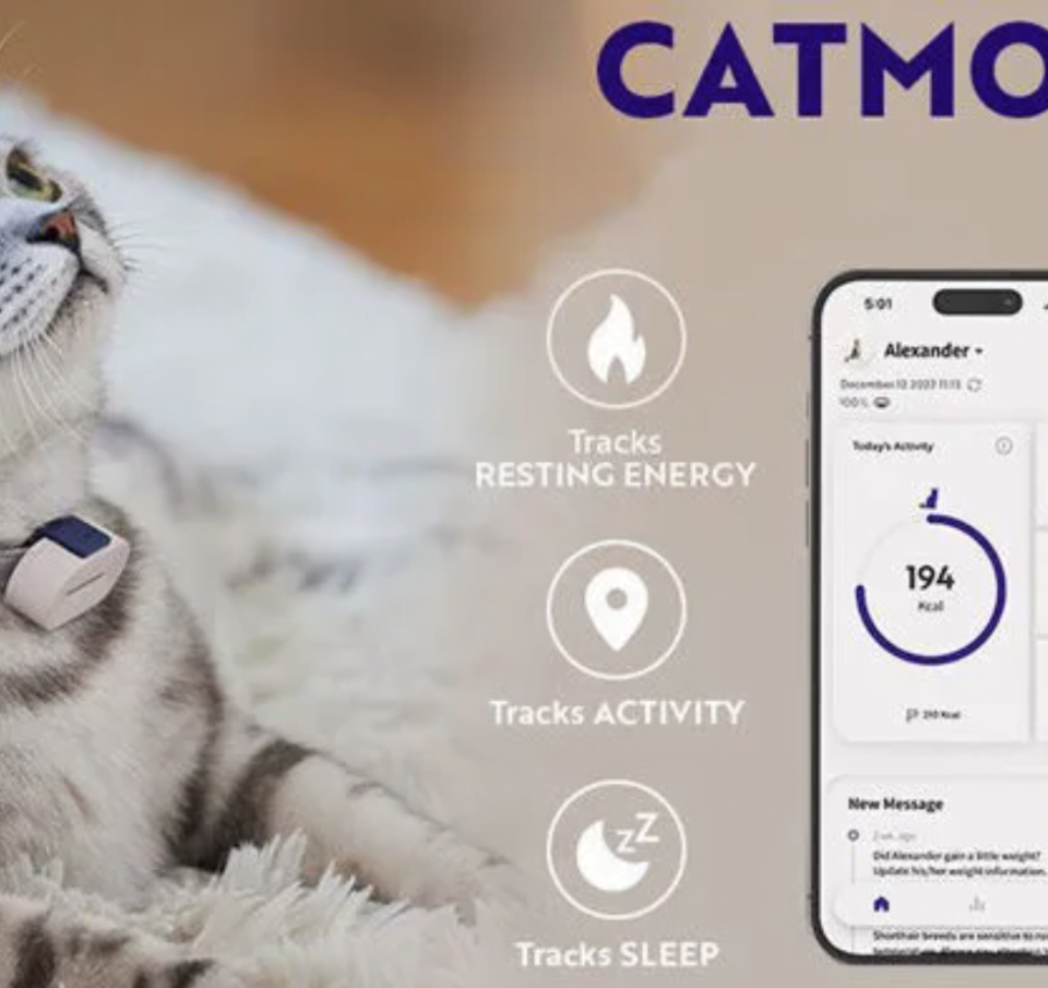 Trending Now: Catmos