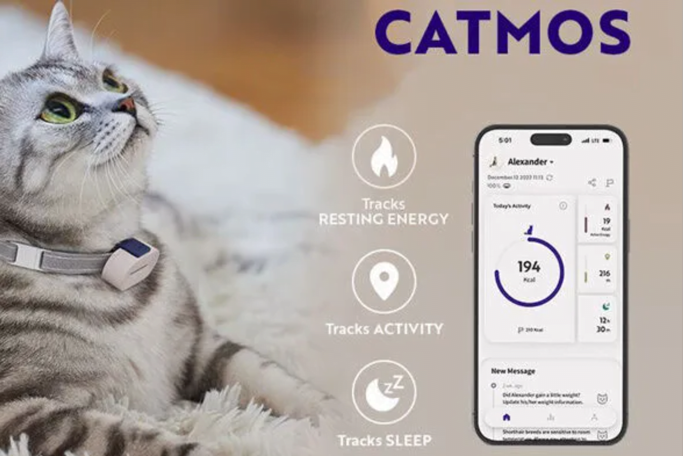 Trending Now: Catmos