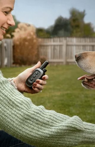 Trending Now: Garmin Delta SE Dog Training System