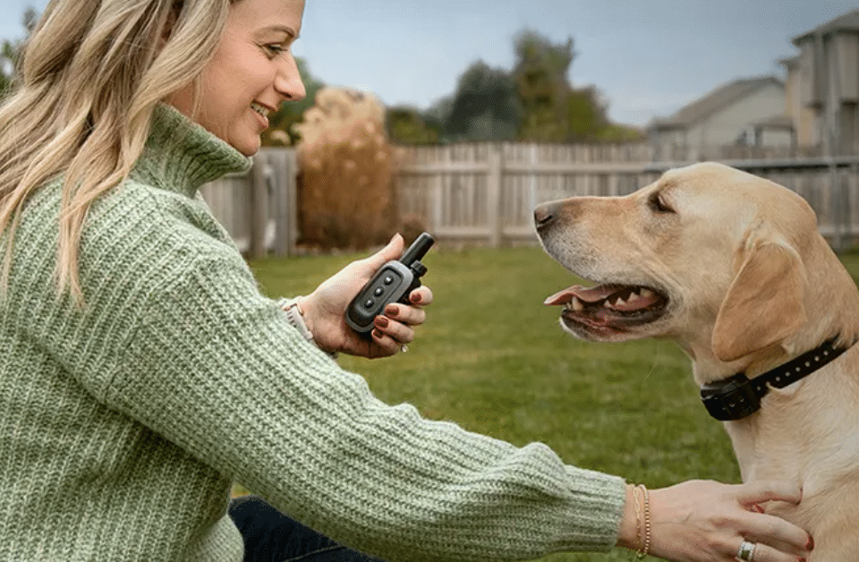 Trending Now: Garmin Delta SE Dog Training System