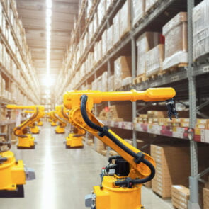 Μαρία Χρήστου &#8211; SAP Solution Advisor SAP Hellas, Cyprus &#038; Malta | Χτίζοντας Έξυπνες Αποθήκες