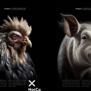 Campaign of the Day: What Livestock Would Look Like If They Survived to Full Life Expectancy