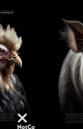 Campaign of the Day: What Livestock Would Look Like If They Survived to Full Life Expectancy