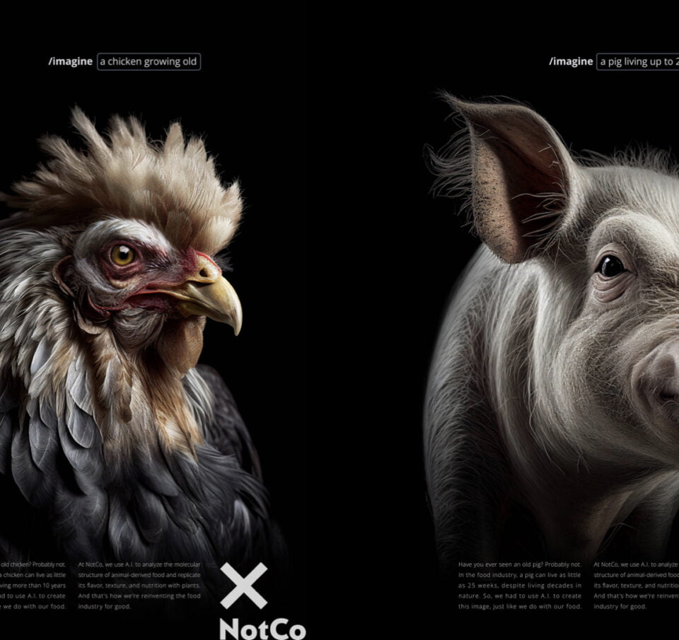 Campaign of the Day: What Livestock Would Look Like If They Survived to Full Life Expectancy