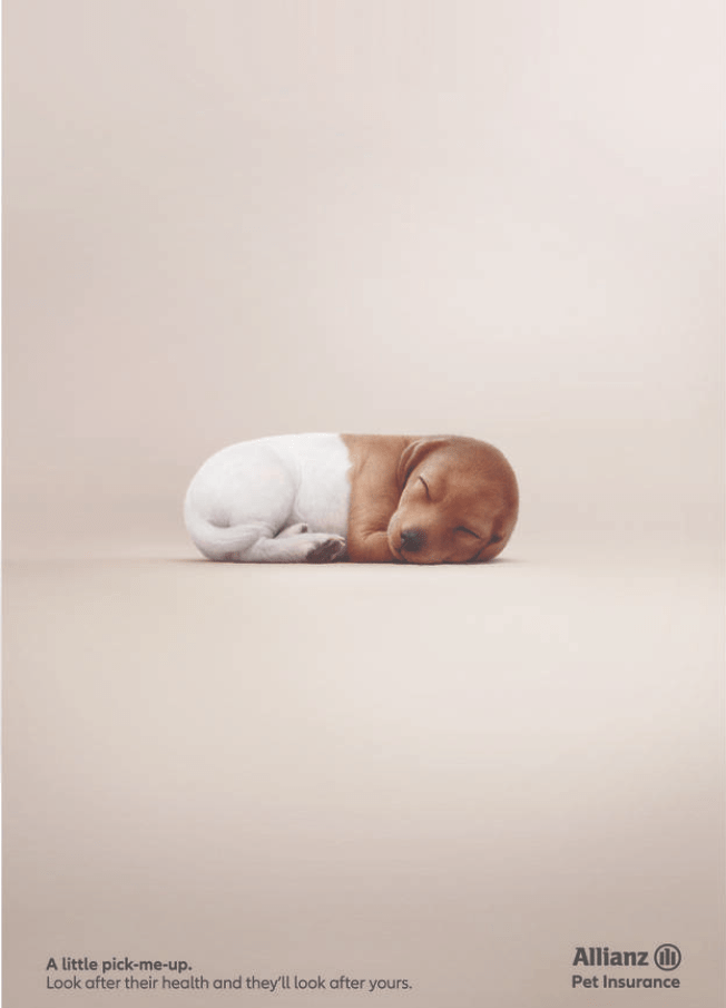 Campaign of the Day: Pawscription