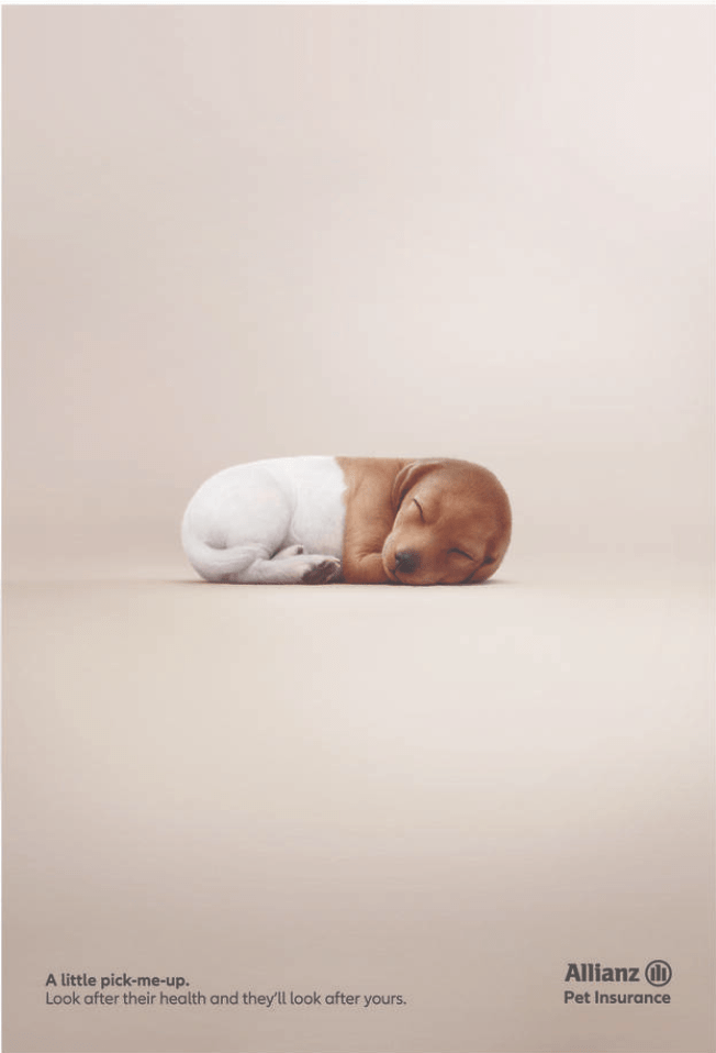 Campaign of the Day: Pawscription