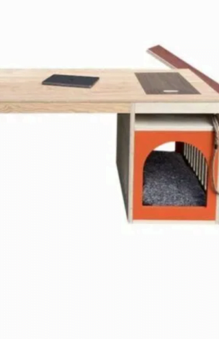 Trending Now: Dog-Friendly Desk Designs