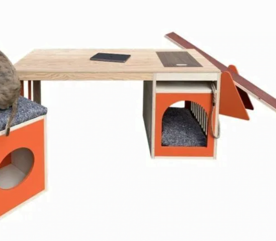 Trending Now: Dog-Friendly Desk Designs