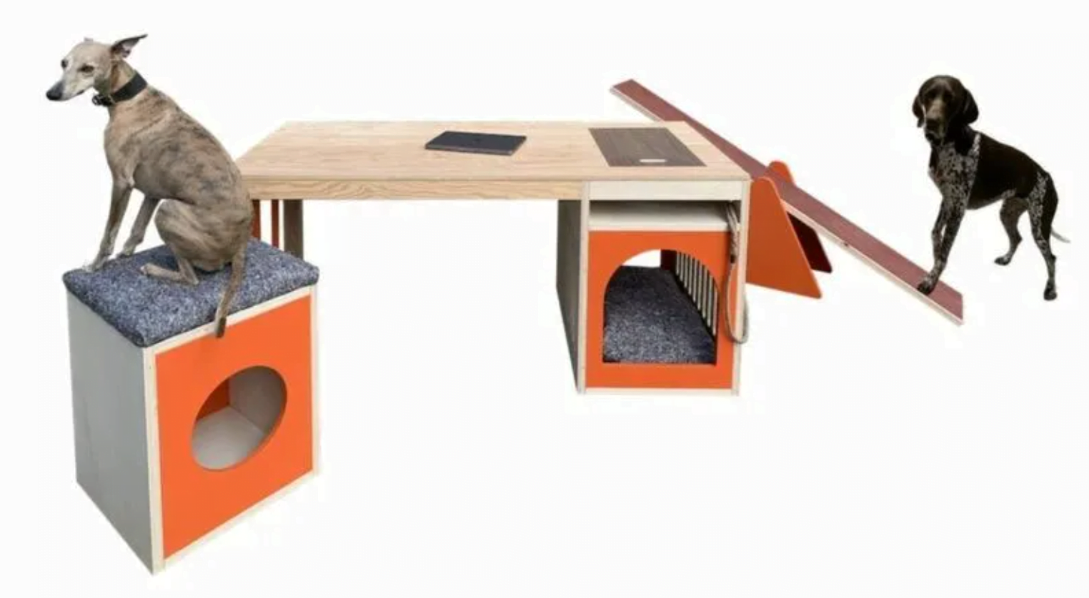 Trending Now: Dog-Friendly Desk Designs